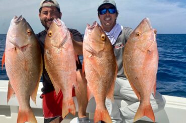 SNAPPER SMACKDOWN! Mutton Snapper Catch and Cook Italian Style!