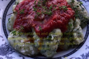 Italian Sustainable Mountain Vegetarian Cooking | Potato and Stinging Nettles Dumplings | Slow Life