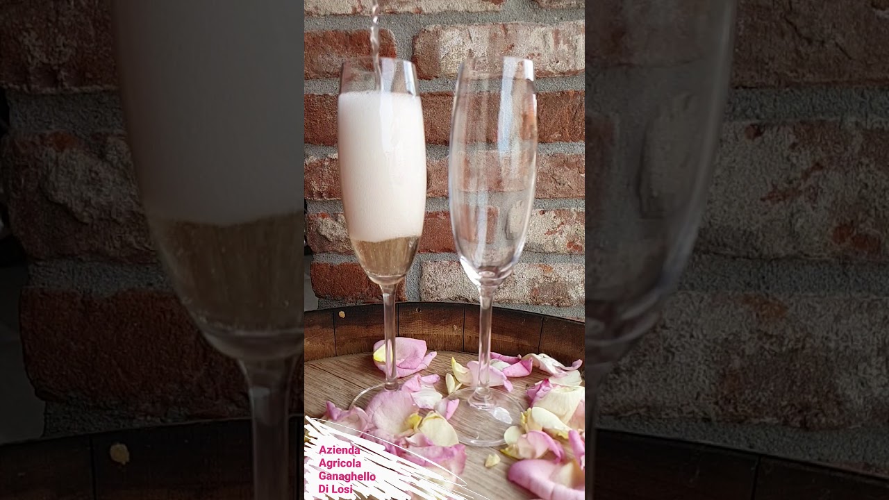 Vino Spumante Carpe Diem.Scheda tecnica.Vino Italiano.Ganaghello Di Losi. Wine .Emilia Romagna.Italy Vino Spumante Carpe Diem.Scheda tecnica.Vino Italiano.Ganaghello Di Losi. Wine .Emilia Romagna.Italy