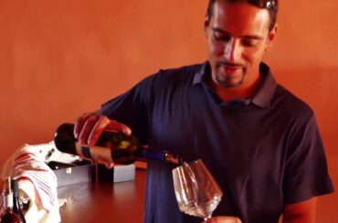 Ceralti: Wines from Bolgheri