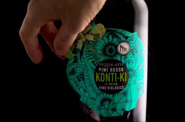 KONTI-KI - New Piwi Wines 2020 - Welcome to the new Wine Era | Cantina Pizzolato | Vino biologico