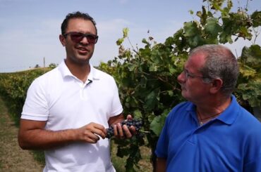 Episode 2: Wines of Cucina 🍇