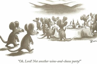 Virtual Tasting #6: World of Wine and Cheese