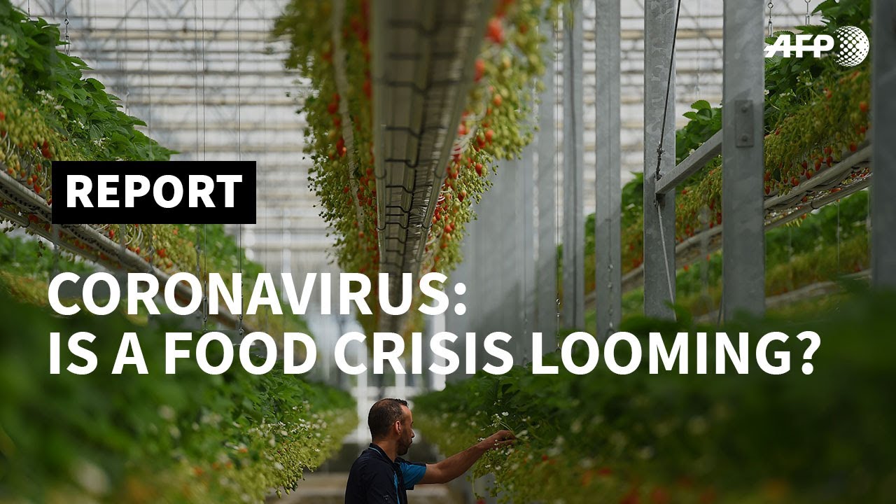 Coronavirus: is a food crisis looming? | AFP Coronavirus: is a food crisis looming? | AFP
