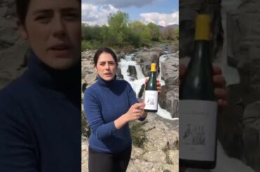 Etna Bianco - Monteleone Winery - Castelfeder & Partner - Sicily - Italy (english version)