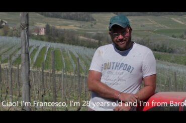 Viberti Wine - Buon Padre Barolo DOCG.