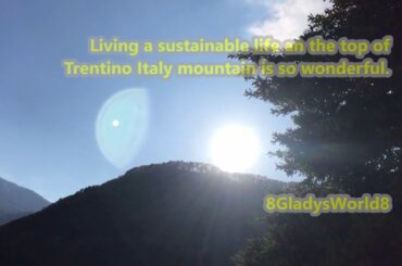 How to Save Money on Energy | Water for Shower, Washing Dishes, Cleaning & Cooking using Firewoods