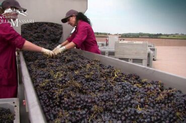 Castello ColleMassari: Tour of Vineyards and Production
