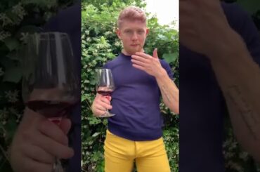 Wine Folly 34 Wine Tasting Challenge- Wine 7