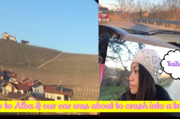 Finest wine in Alba Italy failed/our car was about to crash into a truck