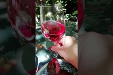 Vegan wine  lockdown lunch in the garden Italy