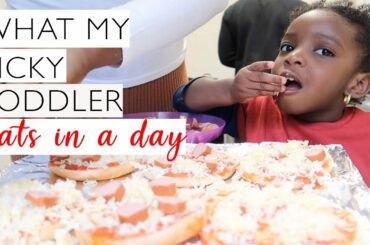WHAT MY PICKY TODDLER EATS IN A DAY || ITALIAN INSPIRED DISHES