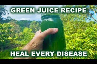 A GREEN JUICE RECIPE TO HEAL EVERY DISEASE!