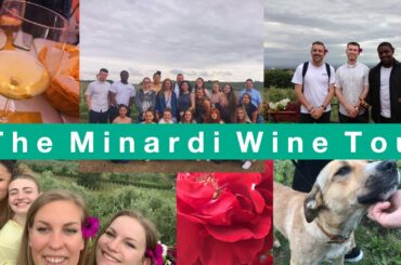 Wine & Friends 🍷  |Italy 2019|