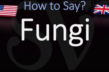 How to Pronounce Fungi? (CORRECTLY)
