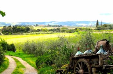 Tuscany views pt 1- Italy Travel