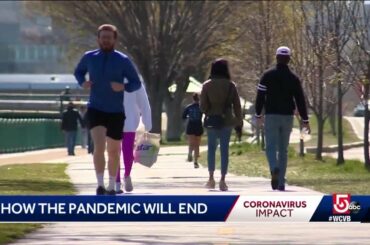 Here's how Harvard researchers say pandemics usually end