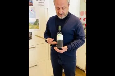 HAVE&MEYER BROADCAST! FUN NATURAL WINE PILL! 2- BY ALE-