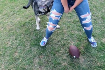 Butcher tried to kill Wine