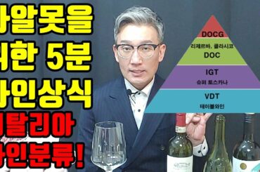 [40화,자막]5분 와인상식part1, 이탈리와 와인분류와 특징! 와인 초보를 위한 필수상식!!