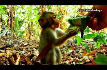 Alba thank Cameraman for lunch, Alba had plenty of food from Cameraman