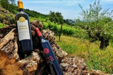 Italian Cuisine e Colle delle 100 Bottiglie presentano ricette a base di pollo e vino toscano