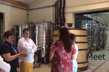 Beyond The Wine, Wine Tours Golfe de Saint Tropez