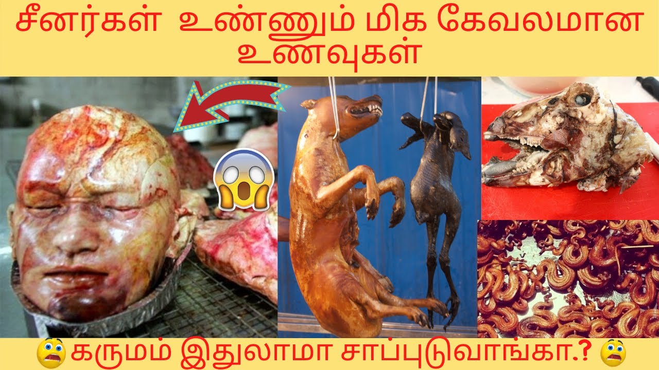 சீனர்கள் உண்ணும் மிக கேவலமான உணவுகள் | Unusual chinese food | Weird Foods That Chinese People Eat சீனர்கள் உண்ணும் மிக கேவலமான உணவுகள் | Unusual chinese food | Weird Foods That Chinese People Eat