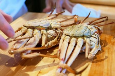 Japanese Food - EXPERT CRAB MEAT EXTRACTION Snow Crab Eggs Kanazawa Seafood Japan