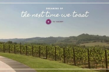 Dreaming of the next time we toast together | To Tuscany | Tuscan Wine & Vineyards