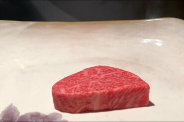 $270 Gourmet Lunch - Tokyo's best Teppanyaki ?