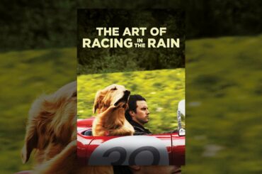 The Art of Racing in the Rain