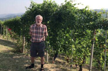 Arneis and Nebbiolo grapes- Visiting Italy's much-respected Piedmont wine region