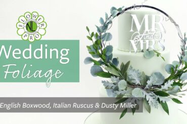 Wedding Foliage With Flower Pro Part 2 | English Boxwood, Italian Ruscus & Dusty Miller