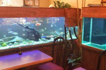 Top rated Restaurants in Mobile, United States | 2020