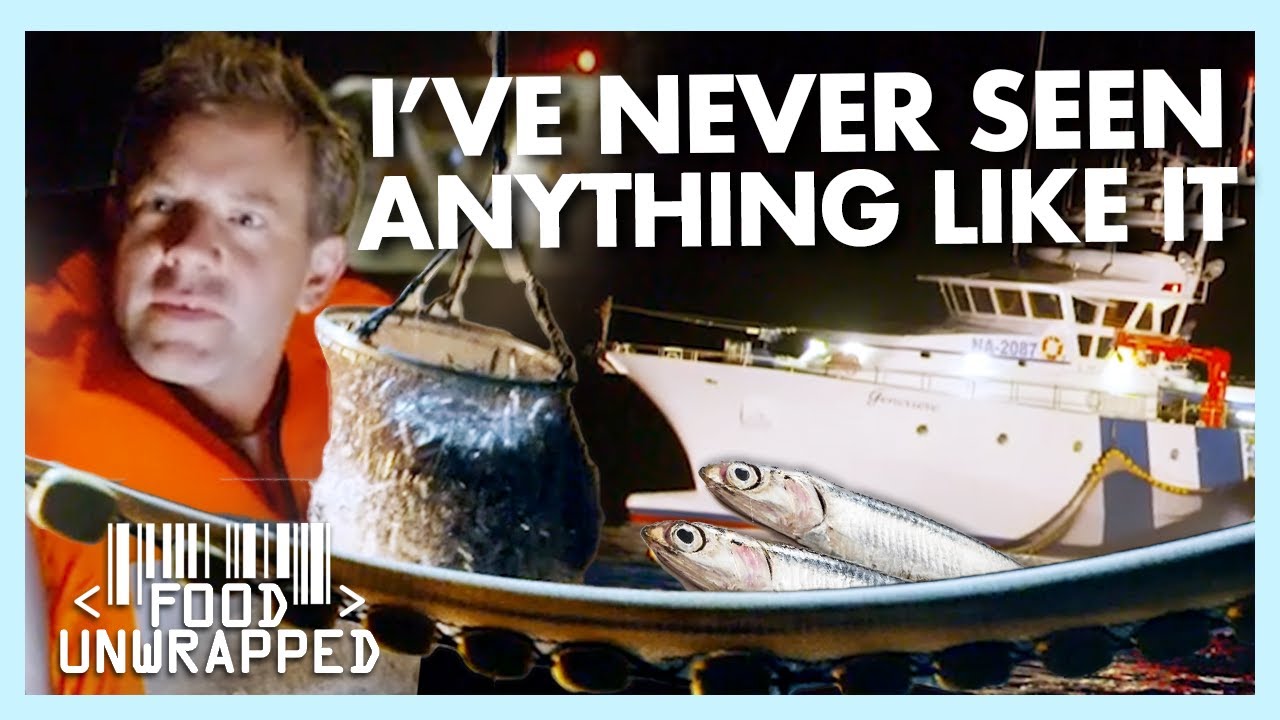 The Mind-Blowing Methods Needed to Catch an Anchovy | Food Unwrapped The Mind-Blowing Methods Needed to Catch an Anchovy | Food Unwrapped