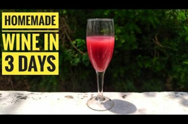 Grape Wine In 3 Days | How To Make Wine At Home | Quick Wine