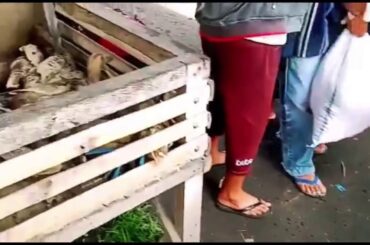 Wuhan Market of death 😢😳🙈☠️😡😡🥶🥵😤😫😭😱🤬