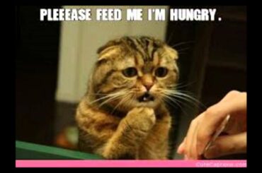 John Pinette France and Italy