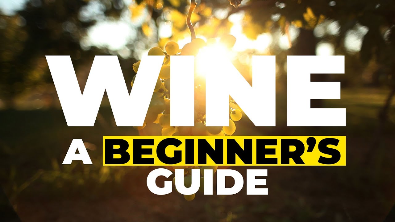 How to make wine – a beginner's guide from Italy How to make wine - a beginner's guide from Italy