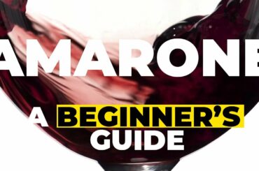 Amarone - a beginner's guide from Italy