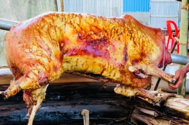 [ Piseth Official ]  Amazing Food in Asia COW ROASTED is very delicious