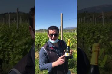 Adami 'Garbel' Prosecco Brut