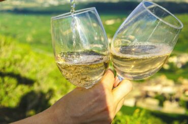 Brazilian Schubert on the Prosecco hills