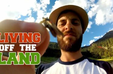 I attempted to live off the land for an entire day. It became so much more than a quest for food.