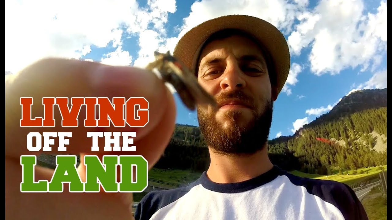 I attempted to live off the land for an entire day. It became so much more than a quest for food. I attempted to live off the land for an entire day. It became so much more than a quest for food.