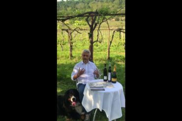 On the StradeBianche - Erbaluce di Caluso La Masera - Strade Bianche Wines