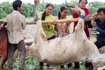 Cooking CURRY 300KG Whole BIG OX Recipe to Sharing with My Villager - Eating and Donation Foods