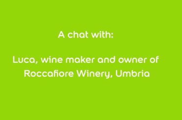 A Chat with Luca from Roccafiore Winery, Umbria