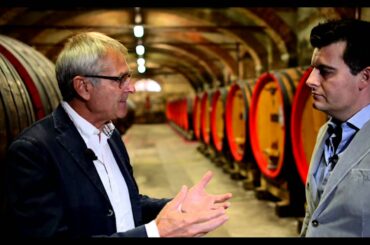 Barolo: Into the Vines (Full Length)